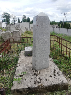 sdr XV Obchody Dnia Pamięci o ofiarach holokaustu 31.01.2023